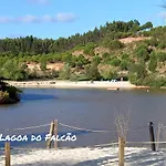 Murta's