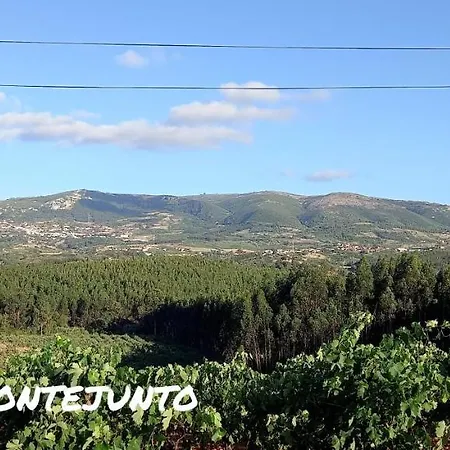 Murta's بيت للعطل